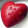 foto do perfil felipidf1218
